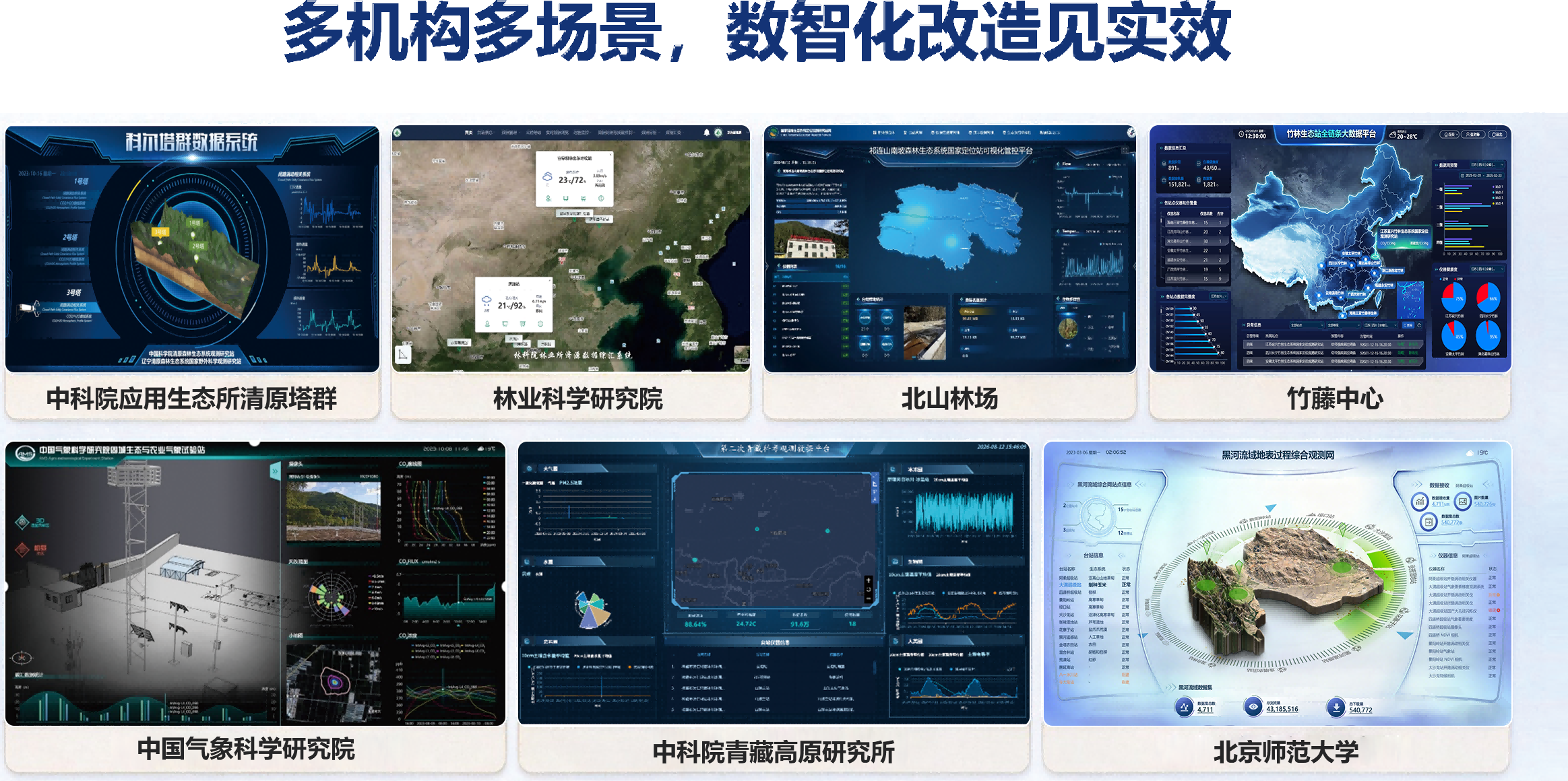 组 12(1) 组 12(1)